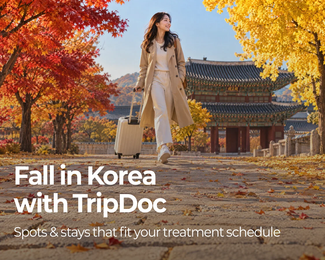 단풍 따라 떠나는 한국의 가을, 트립닥과 함께