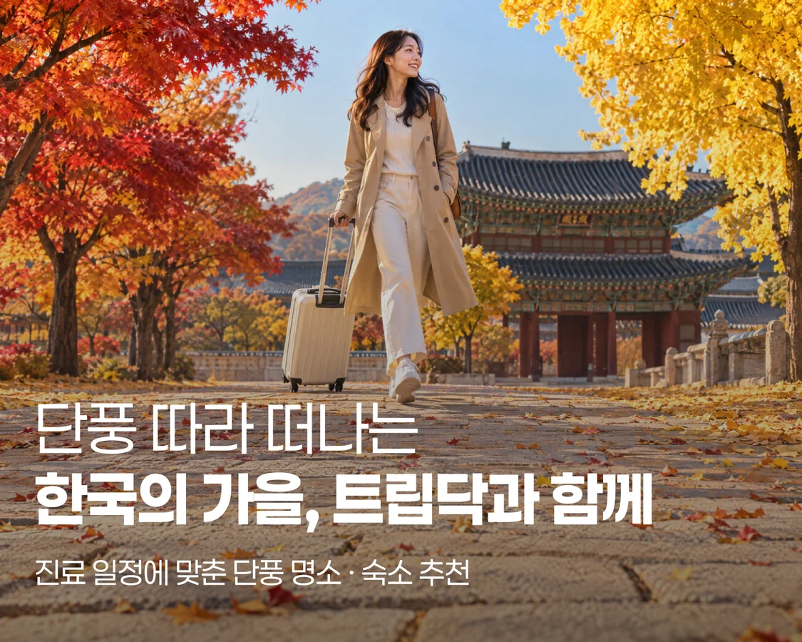 단풍 따라 떠나는 한국의 가을, 트립닥과 함께